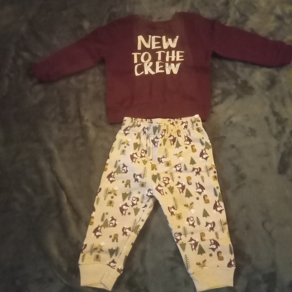 Garanimals baby clothes bundle